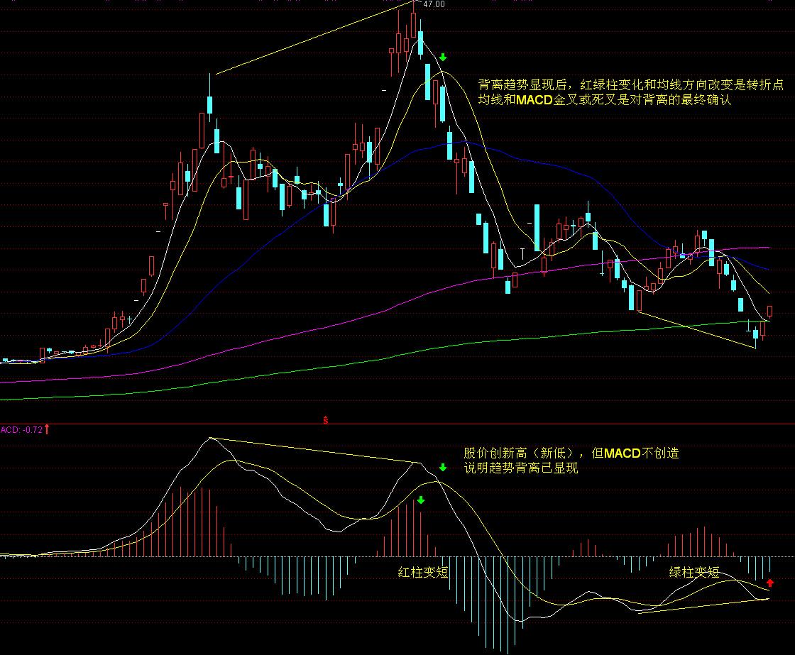 七夕来珠海日月贝，免费看国潮音乐派对！